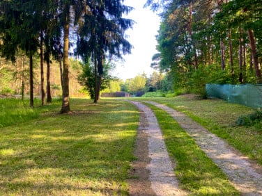 Działka budowlana Skrzeszew