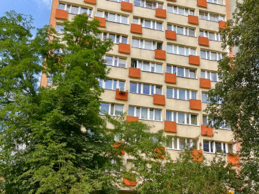 Mieszkanie Szczecin wynajem
