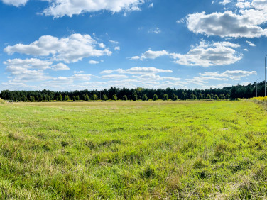 Działka budowlana Puszczykowo