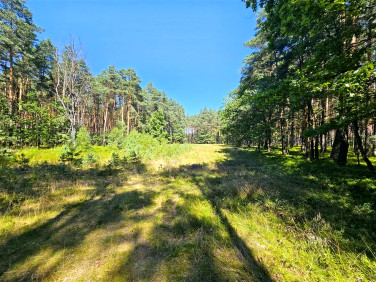 Działka Ożarowice