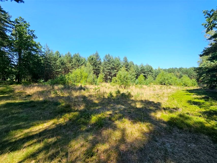 Działka budowlana Ożarowice
