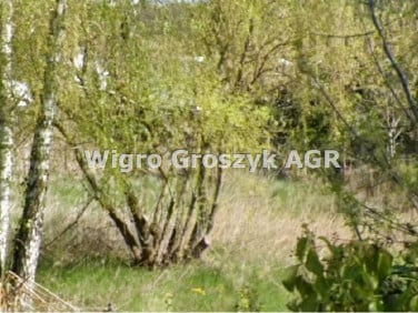Działka budowlana Cybulice Małe sprzedam