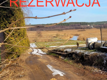 Działka Osowicze
