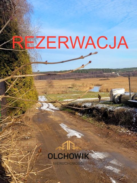 Działka Osowicze