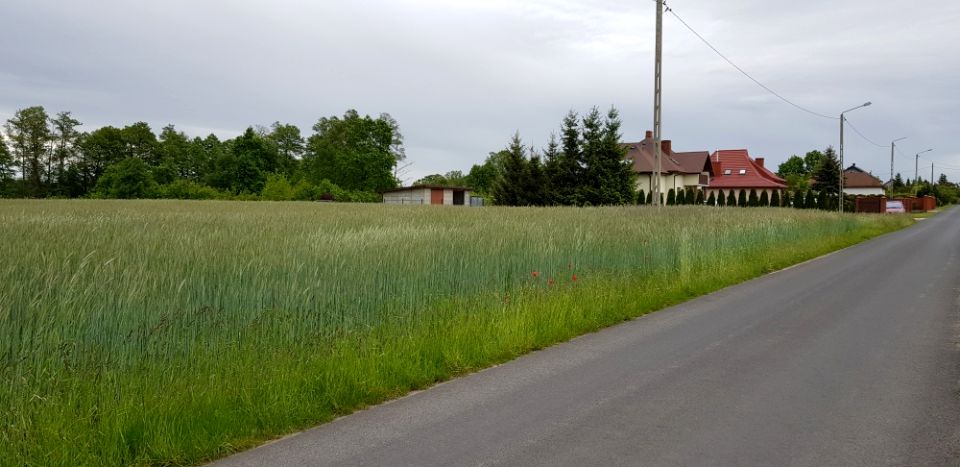 Działka budowlana Zakrzew