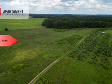 Działka rekreacyjna Miradowo sprzedam