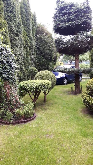 Działka rekreacyjna Gdańsk