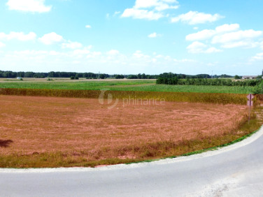Działka inna Łomów