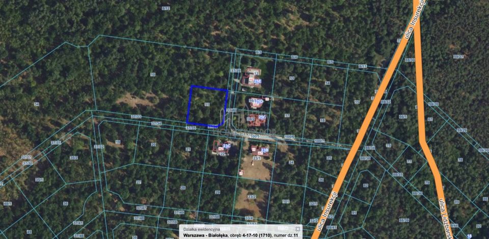 Działka leśna sprzedam