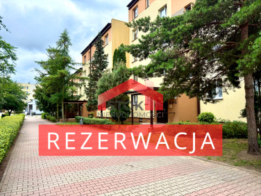 Mieszkanie przy lesie