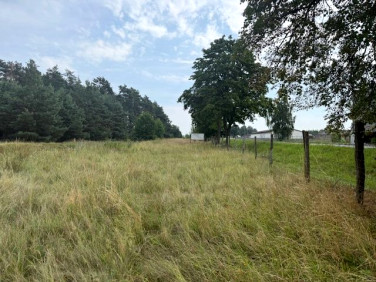 Działka przemysłowa Leszno