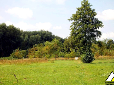 Działka budowlana Wolimierz