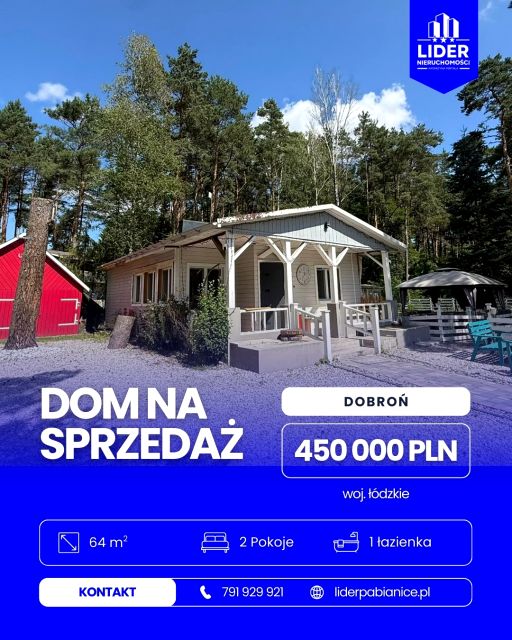 Dom Ldzań