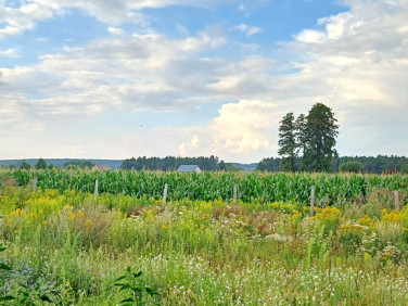 Dom Zławieś Wielka