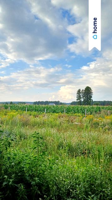 Dom Zławieś Wielka