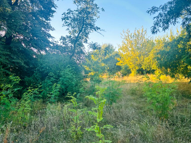 Działka budowlana Borzęcin Mały