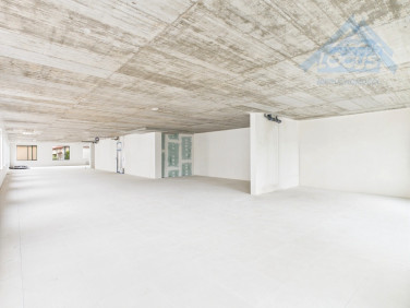 Lokal Warszawa