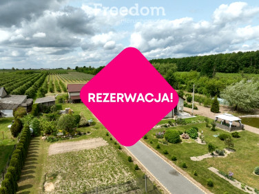Dom wolnostojący sprzedaż