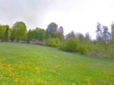 Działka usługowa Rybnik sprzedam