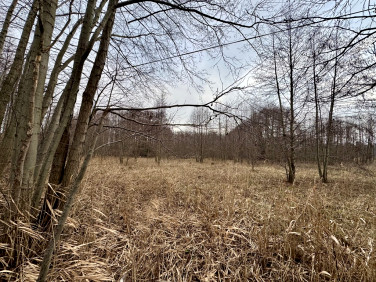 Działka budowlano-rolna Smolice sprzedam