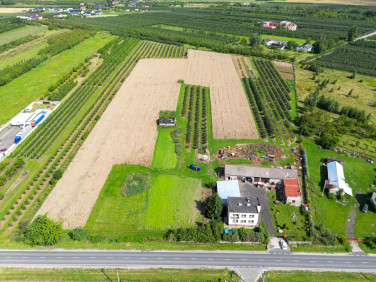 Działka rolna Marianka