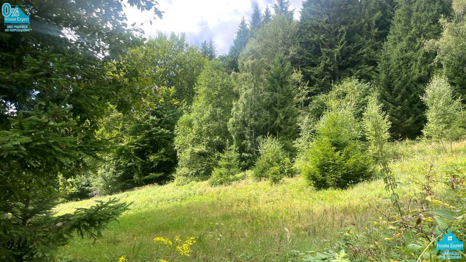 Pusta działka Krynica-Zdrój