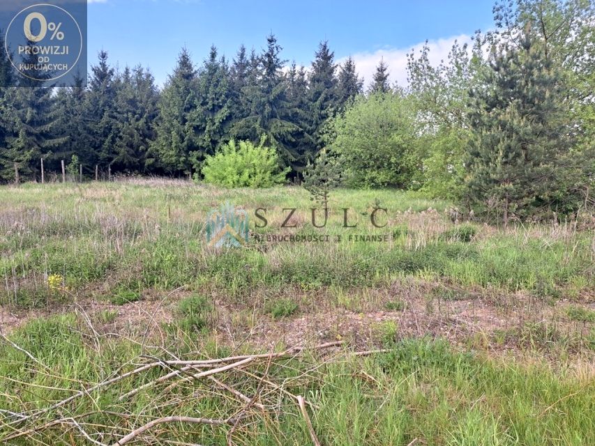 Działka PŁOCICZNO-TARTAK