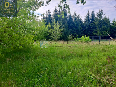 Działka PŁOCICZNO-TARTAK