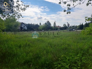 Działka PŁOCICZNO-TARTAK