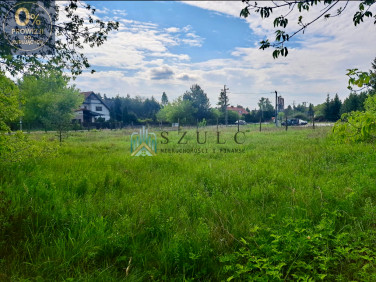 Działka PŁOCICZNO-TARTAK