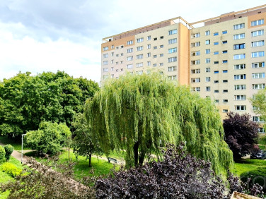 Mieszkanie Szczecin