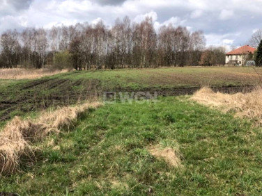 Działka Budno
