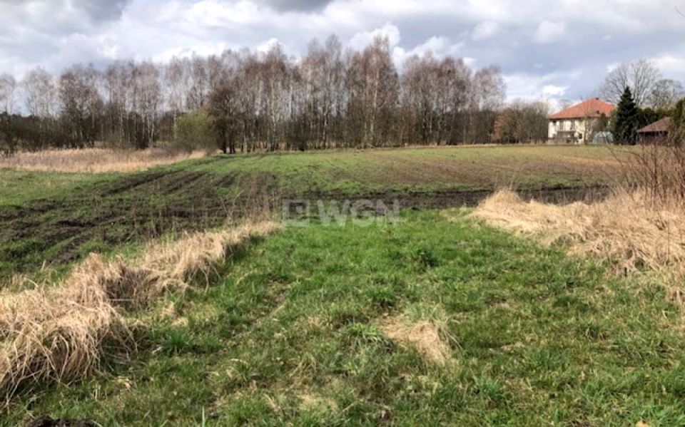 Działka Budno