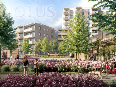 Mieszkanie nad rzeką