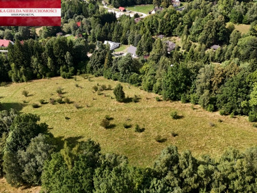 Działka Orłowiec