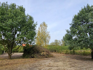 Działka budowlana Rusiec sprzedam