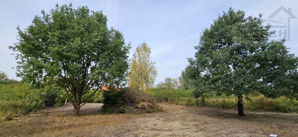 Działka budowlana Rusiec sprzedam