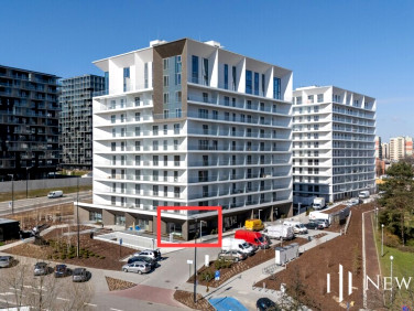 Lokal Katowice