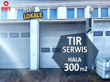 Lokal Białystok wynajem