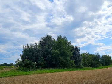 Pusta działka Kraków