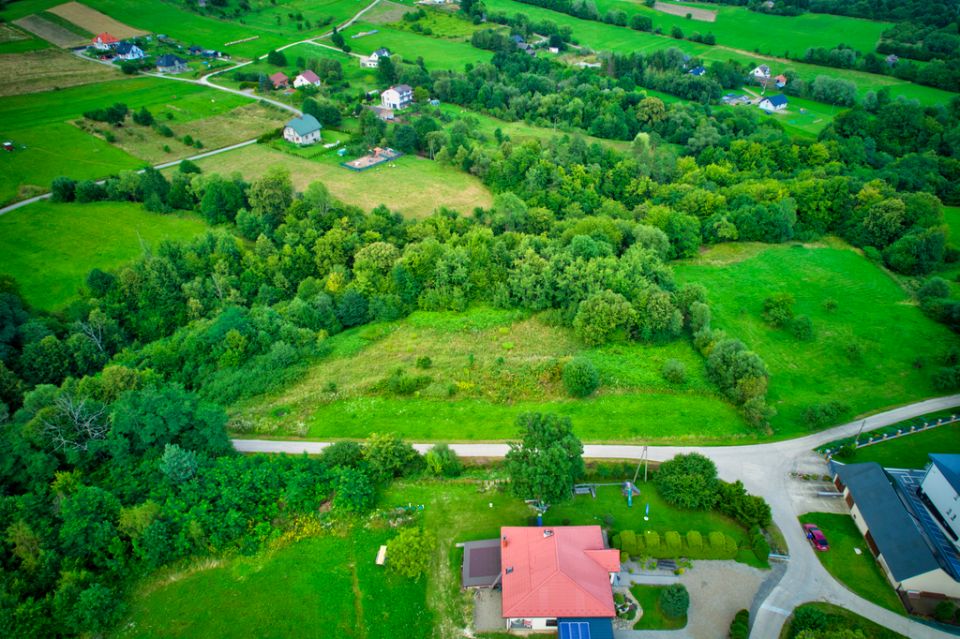 Działka Trzetrzewina