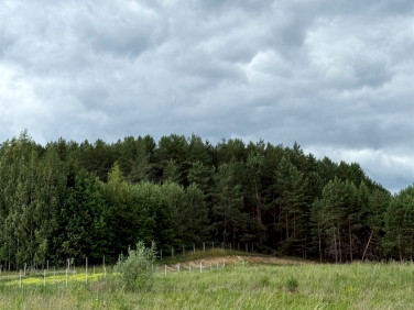 Działka budowlana Studzianki sprzedam