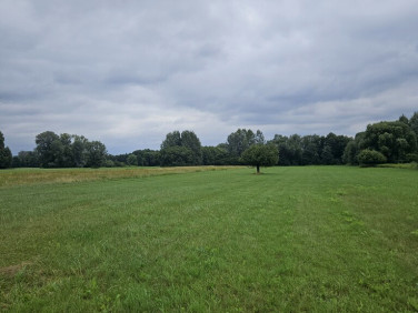 Działka budowlano-rolna Wilków Polski
