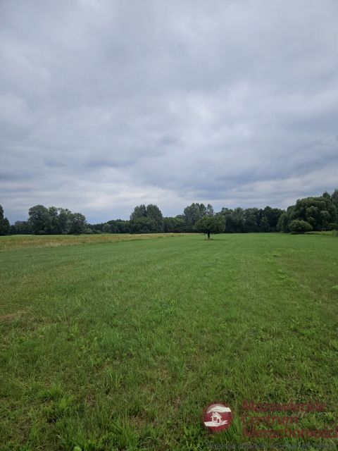 Działka budowlano-rolna Wilków Polski