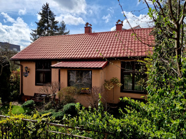 Lokal Kraków