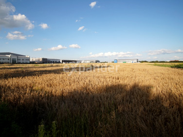 Działka Łąka