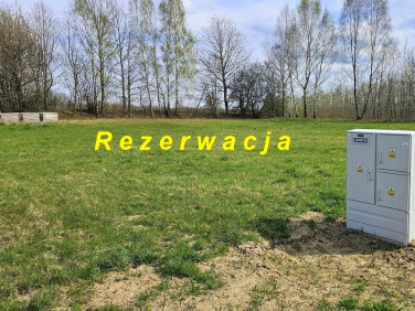 Działka Jurki
