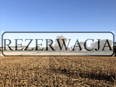 Działka budowlano-rolna Chełm Śląski sprzedam