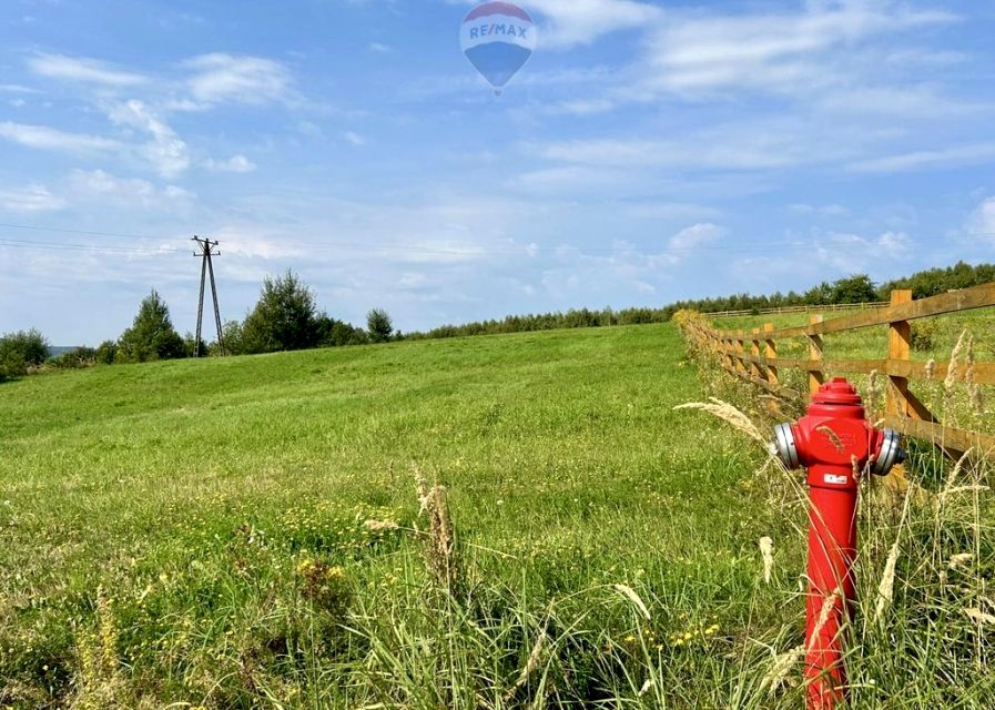 Działka rekreacyjna Orzechówka