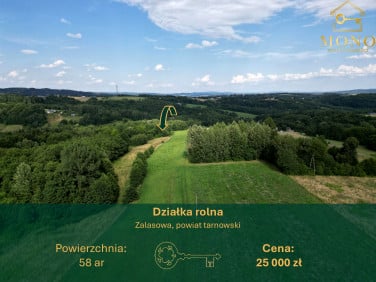 Działka rolna Zalasowa
